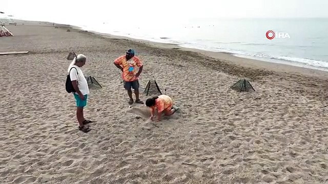 Bakan Özhaseki: Caretta carettaların yuva sayısı 2 Bin 551'e ulaştı