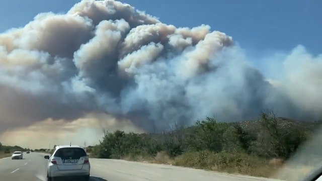 Grèce : un violent feu de forêt brûle à la frontière turque, huit villages évacués