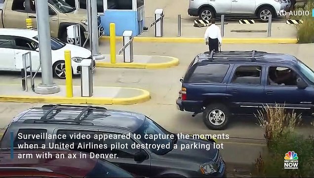 Bakın neden baltayla parçalamış! Çıldıran pilotun ne yaptığını kimse anlayamadı