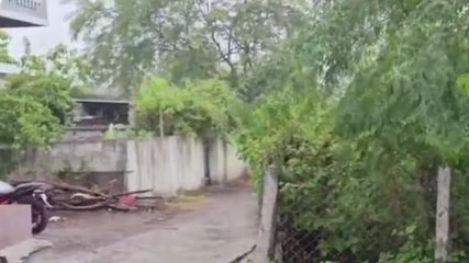 ఆసిఫాబాద్: జిల్లా వ్యాప్తంగా వర్షపాతం నమోదు వివరాలు