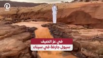 في عز الصيف.. سيول جارفة في سيناء