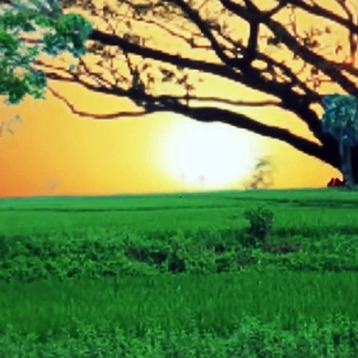 Video at the moment sunset