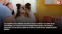 Los humanos podrán mantener conversaciones bidireccionales con sus mascotas