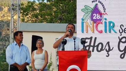 28'İNCİ DEREKÖY İNCİR ŞENLİĞİ YAPILDI