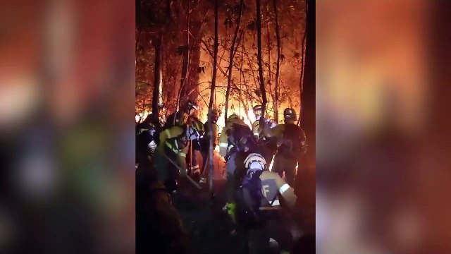 El trabajo de los equipos de extinción en Tenerife evita que el fuego queme viviendas