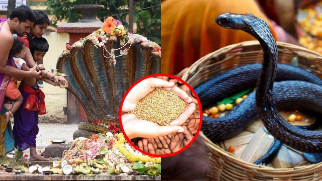 Nag Panchami 2023: नाग पंचमी के दिन क्या दान करना चाहिए | Nag Panchami Ke Din Kya Daan Kare
