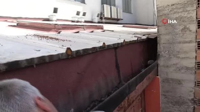 (SAMSUN - ÖZEL)Tahliye borusuna sıkışan kedi için ekipler seferber oldu