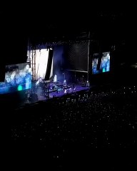 Rissa durante il concerto di Lana del Rey