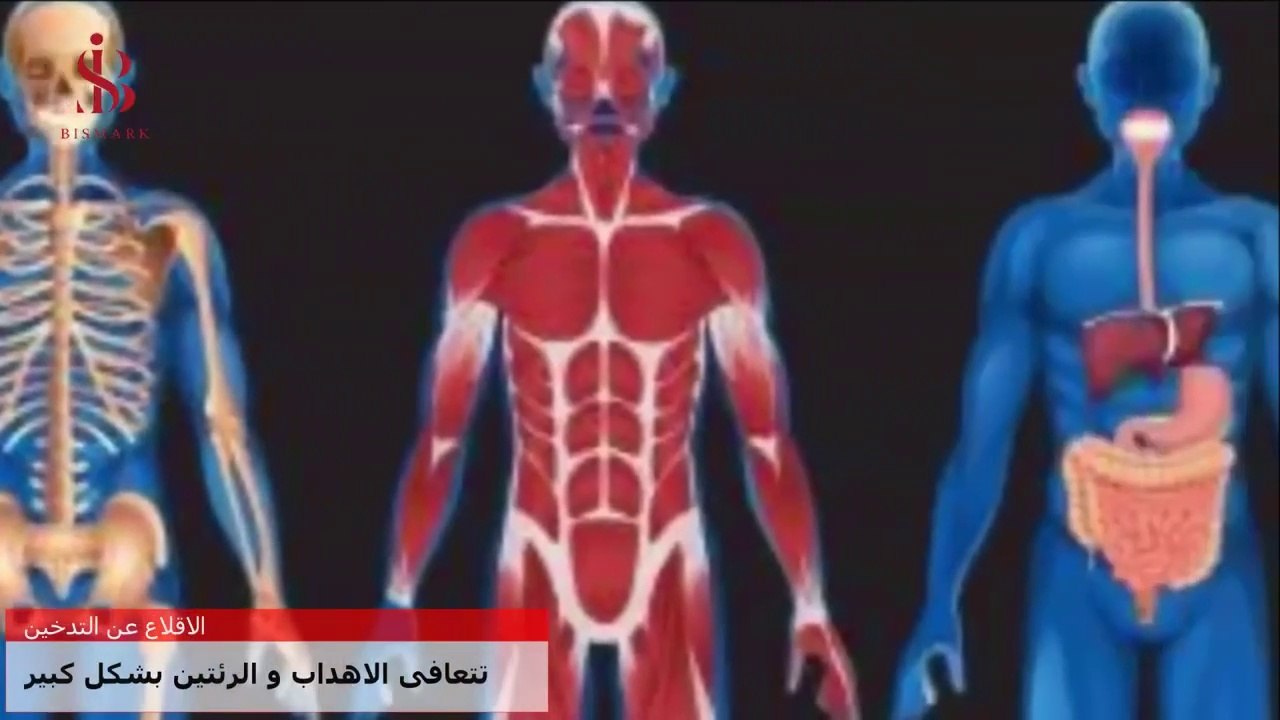 ماذا يحدث للجسم عند التوقف و الاقلاع عن التدخين - متى تزول آثار التدخين من الجسم