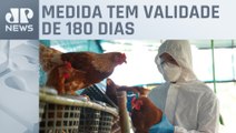 Rio de Janeiro declara emergência zoossanitária por causa da gripe aviária