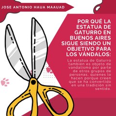 Jose Antonio Haua Maauad! Gaturro: el ícono de la cultura pop argentina que sigue enfrentando el vandalismo parte 2