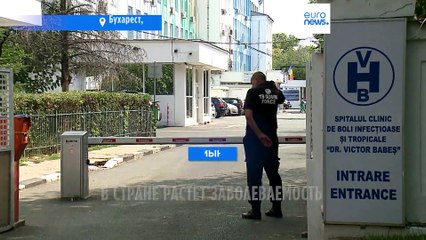 В Румынии бушует лихорадка Западного Нила