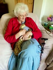 Même les serpents se blottir