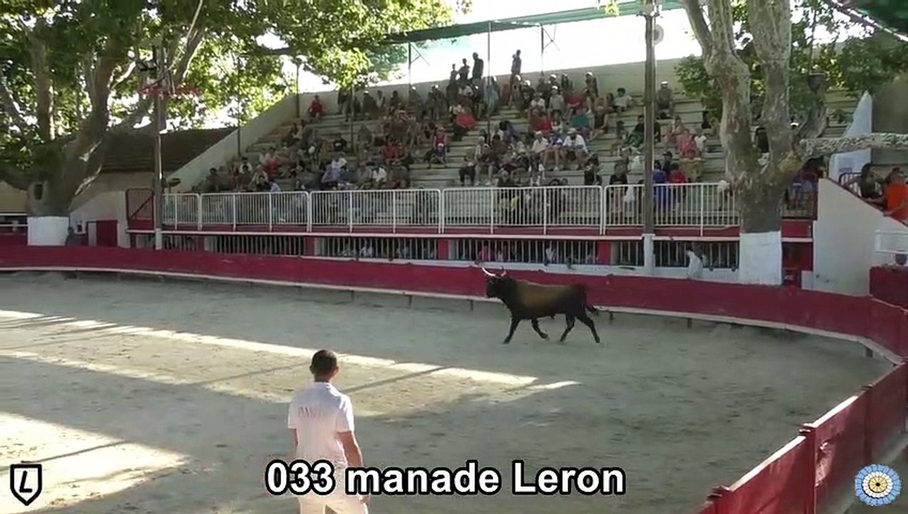 2023 07 31 Leron 033