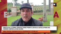 Precio de la yerba productores piden cláusula gatillo para no perder contra la inflación