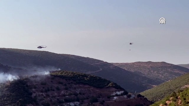 Balıkesir'de orman yangını! Havadan ve karadan müdahale ediliyor