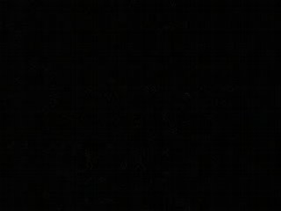 0801260065