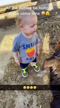 I want some milk too #milkybaby #babyandcow #babymilk #infant #baby #babyapp #babyboy #funnykids #funnybaby #cutebaby #cutebaby #babyvideos #funnybaby #funnybabyvideos #babygirl #babycostume #adorableba