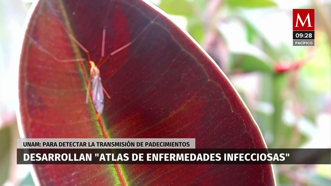 Atlas de Enfermedades Infecciosas; UNAM trabaja...