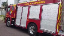 Corpo de Bombeiros é acionado para resgatar gato que subiu em árvore