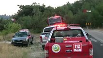 Balıkesir'de orman yangını: 30 hektar kül oldu