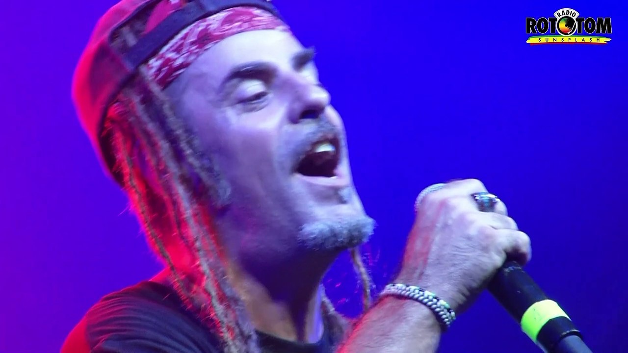 Train To Roots @ Lion Stage 2023