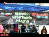 Misión Nevado realiza operativos de atención veterinaria gratuita en la ciudad capital
