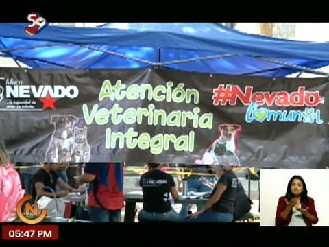 Misión Nevado realiza operativos de atención veterinaria gratuita en la ciudad capital
