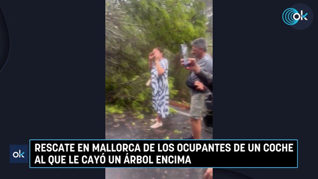 Rescate en Mallorca de los ocupantes de un coche al que le cayó un árbol encima