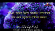 Sura Ar Rahman সূরা আর রহমান (الرحمن) - মন জুড়ানো তেলাওয়াত _ Zain Abu Kautsar(1)