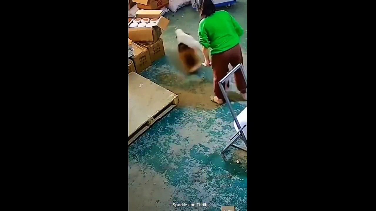 Ferocious & Friendly: Predators and Pets