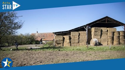 L'amour est dans le pré  cet incroyable rebondissement qui vous attend dans la saison 18 !