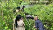 Suspected dead body of a naked girl found in the bushes, fear of murder after rape