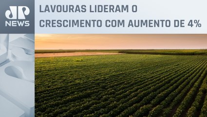 Brasil tem safra recorde e fatura R$ 1,13 trilhão em 2023