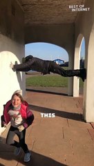 Human Bridge Challenge: Unconventional Core Workout Fun! || Best of Internet