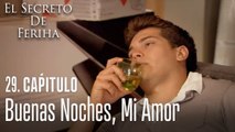 Buenas noches, mi amor - El Secreto De Feriha Capítulo 29