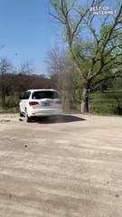 Nature's Whimsy: Spontaneous Dust Devil Takes Over Walk! || Best of Internet