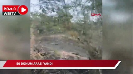 50 dönüm arazi yandı