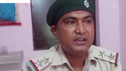 जहानाबाद: वन विभाग की बड़ी कार्रवाई, पेड़ों की अवैध कटाई में लगा हाईवा जब्त