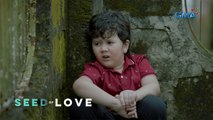 The Seed of Love: Thirdy escaped his kidnappers! (Episode 75)