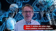 HACE 1 MILLÓN DE AÑOS OCURRIÓ ALGO QUE CAMBIÓ NUESTRO CEREBRO