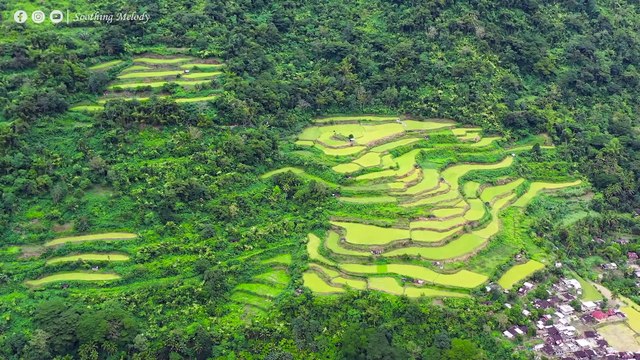 ВОССТАНОВЛЕНИЕ НЕРВНОЙ СИСТЕМЫ Нежная музыка успокаивает нервную систему и радует душу #15