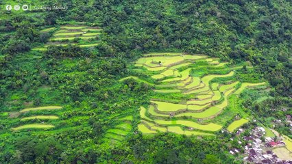 ВОССТАНОВЛЕНИЕ НЕРВНОЙ СИСТЕМЫ  Нежная музыка успокаивает нервную систему и радует душу #15