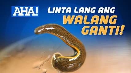 Linta, dumapo sa mata ng isang bata sa Davao de Oro! | AHA!