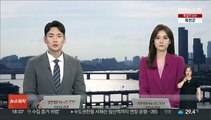 합정역 열차서 흉기난동 50대 구속…