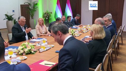 Treffen in Budapest: Erdogans ungarische Brücke zur EU-Wirtschaft