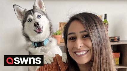 “I taught my dog to speak – he bosses my husband around and tells him to bring me food and drink.”
