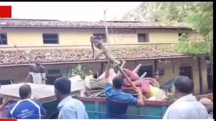 मनीष कश्यप मामले में बड़ा अपडेट, कोर्ट का आदेश- सारा सामान किया जाए वापस