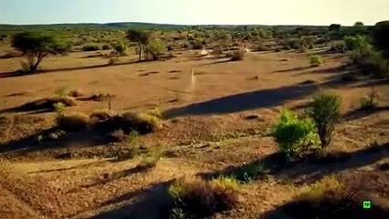 24 Horas Salvajes - 01 -  Praderas - Documental