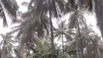 కోనసీమ జిల్లా: దంచికొట్టిన భారీ వర్షం